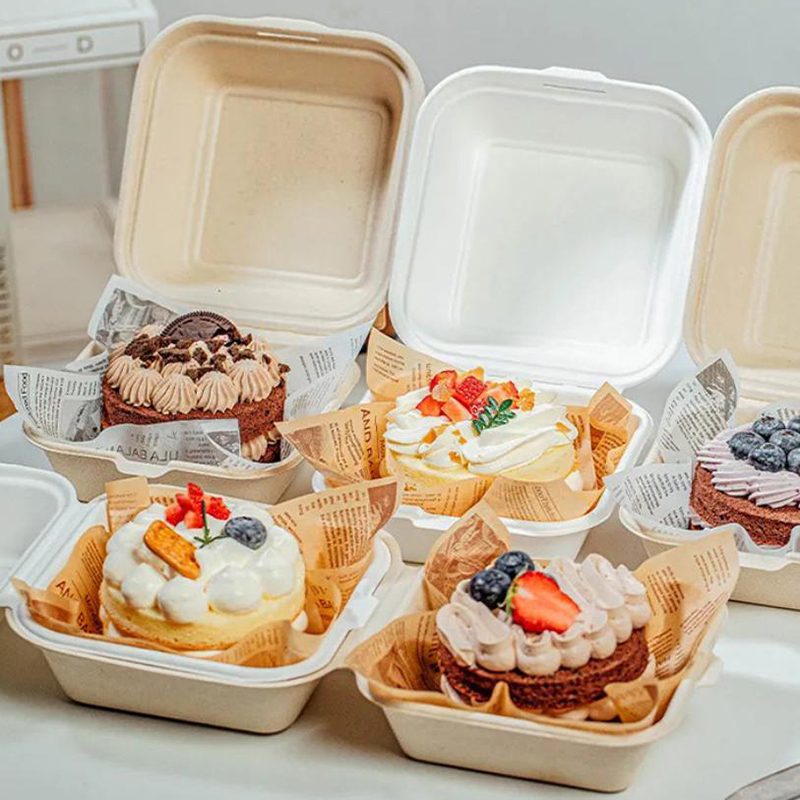 Nice Food Snacks - 【Bonito】10 recipientes desechables para comida tipo