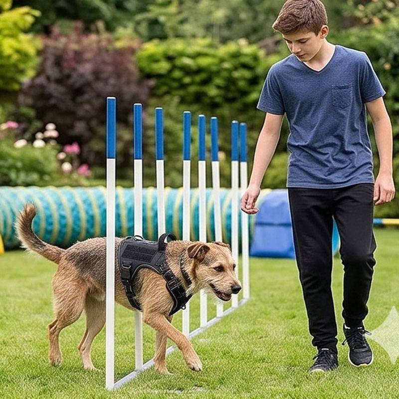 Arnés Universal para Perros co - Food Snacks For Hiking reseña y precio
