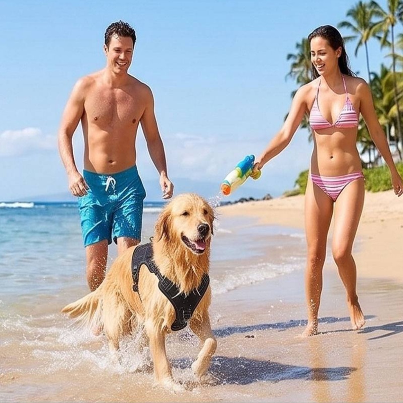 Arnés Universal para Perros co - Food Snacks For Hiking reseña y precio